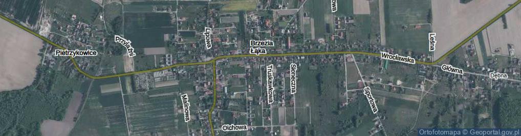 Zdjęcie satelitarne Kręta ul.